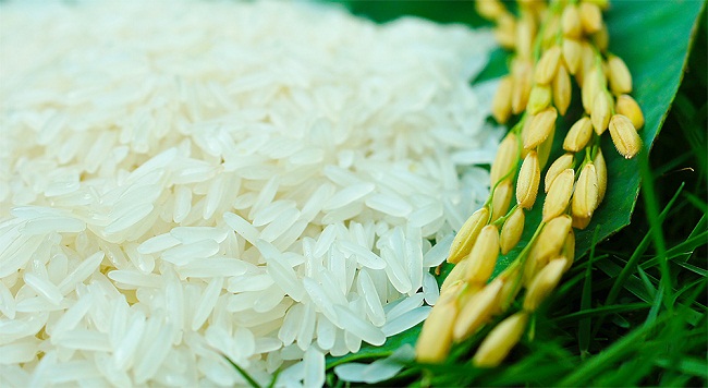 tự công bố tiêu chuẩn chất lượng gạo